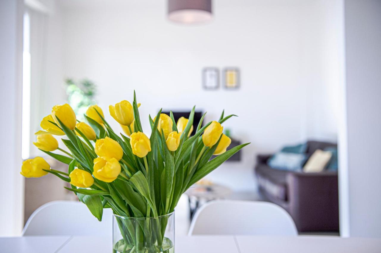 San Frediano Jewel Apartment ฟลอเรนซ์ ภายนอก รูปภาพ