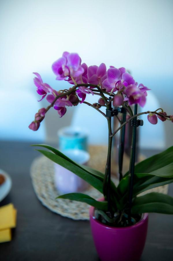 San Frediano Jewel Apartment ฟลอเรนซ์ ภายนอก รูปภาพ